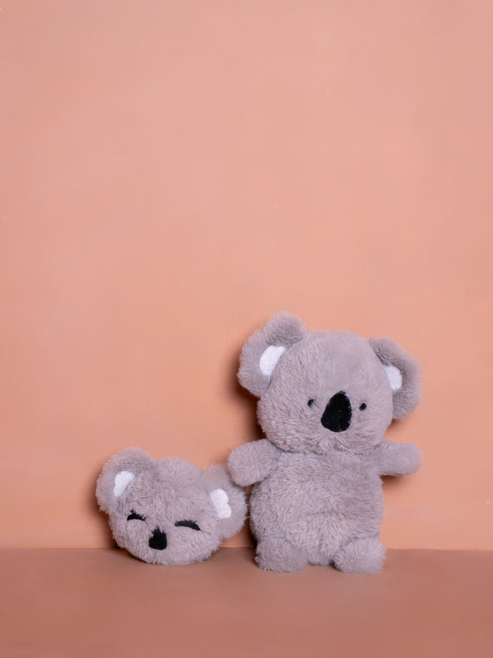 Koala Duo Gift Box