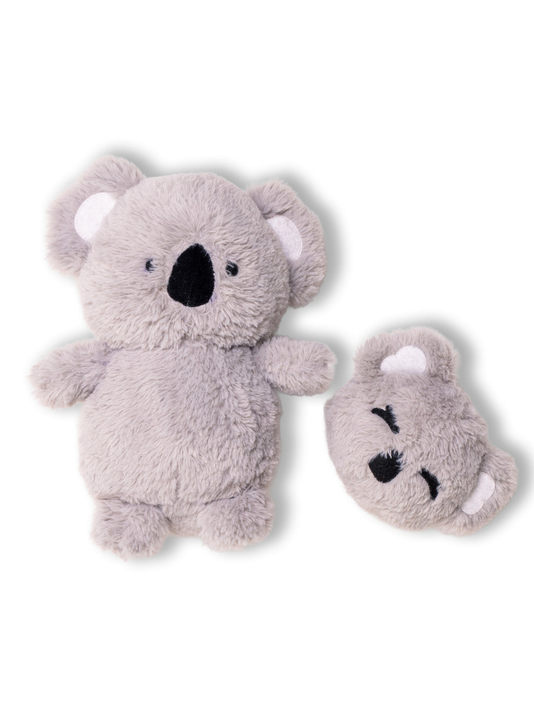 Koala Duo Gift Box